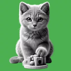 cute cat playing with a wooden toy representing cat behaviour & training